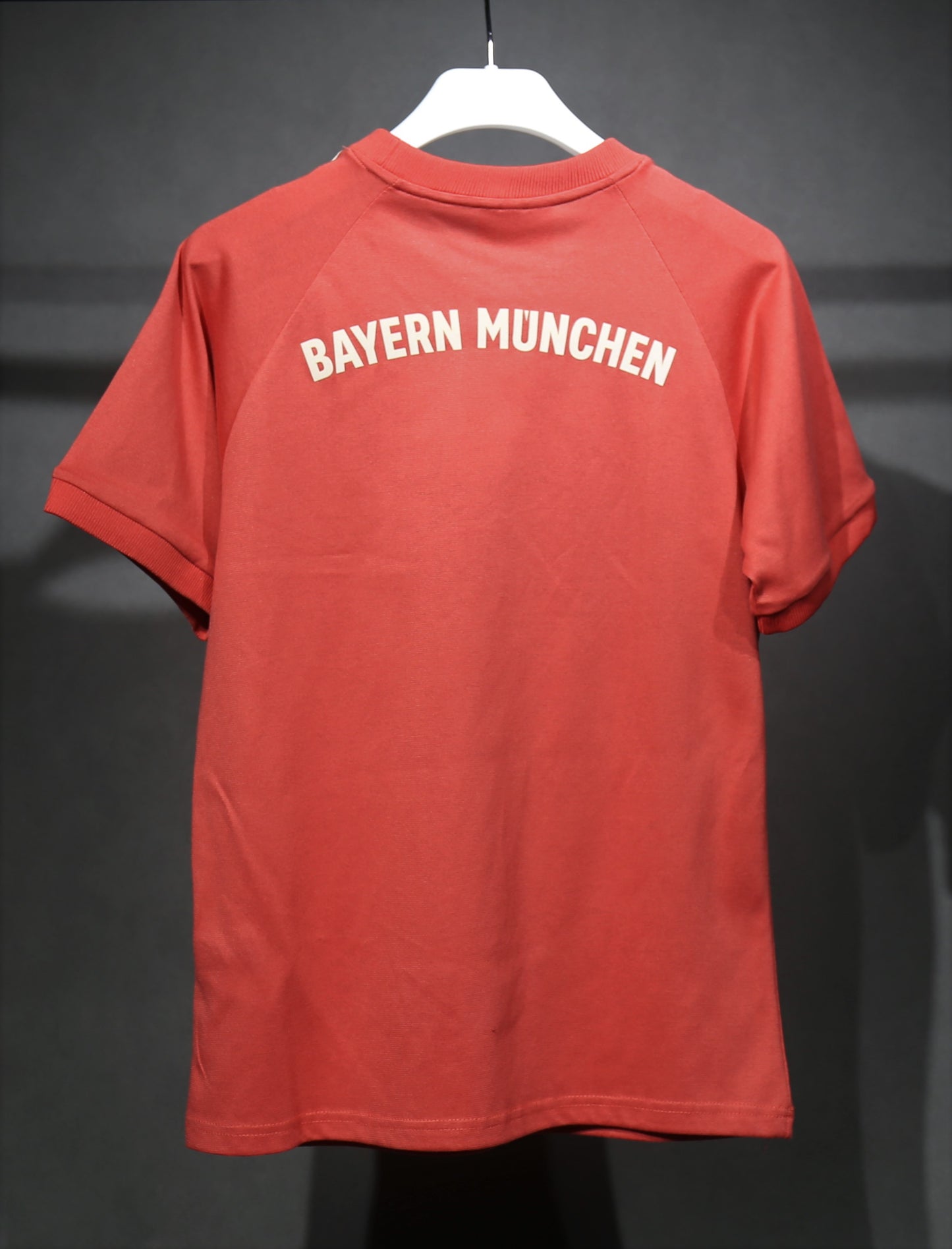 Bayern Munich Casual Specail edition kit 24/25