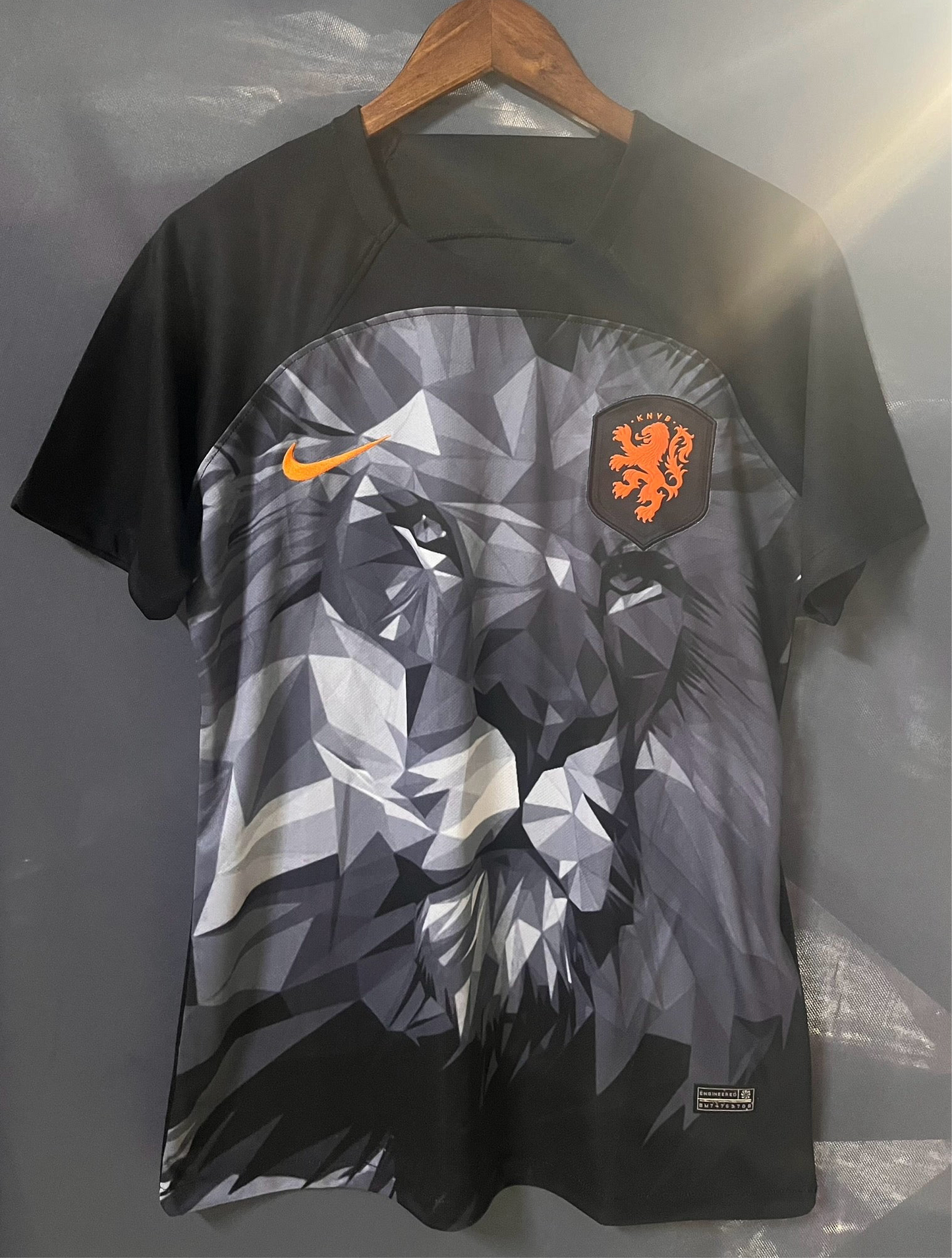 Netherland Lion Special edition kit 24/25